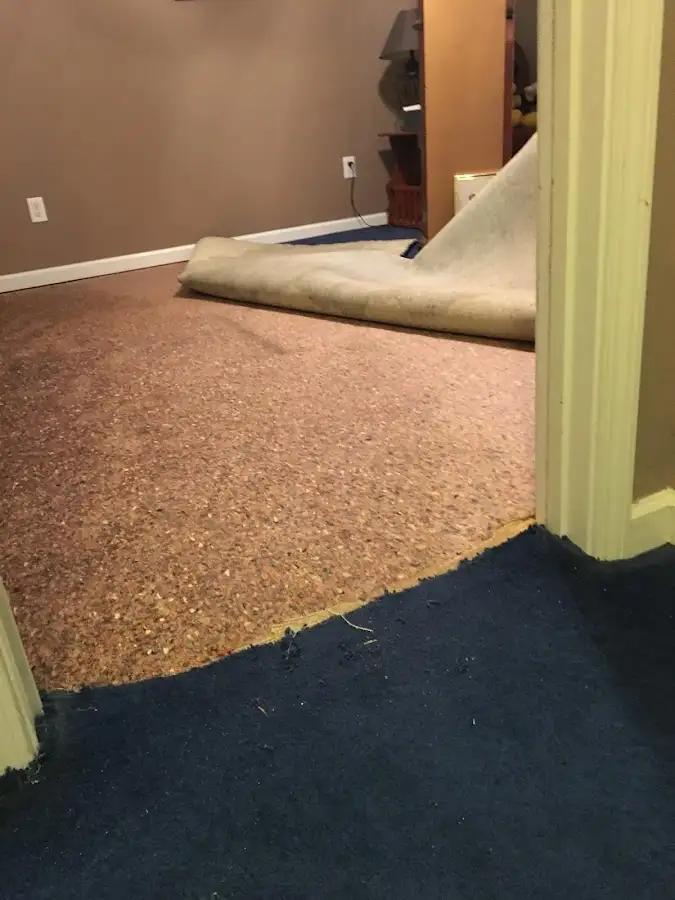Carpet pad removal revealing water damage during Drying & Dehumidification in Sevierville