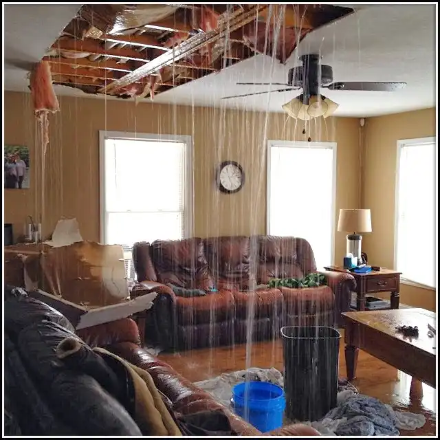 Water Damage Restoration services in Sevierville, TN